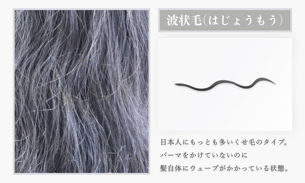 波状毛は日本人のくせ毛さんに最も多い種類