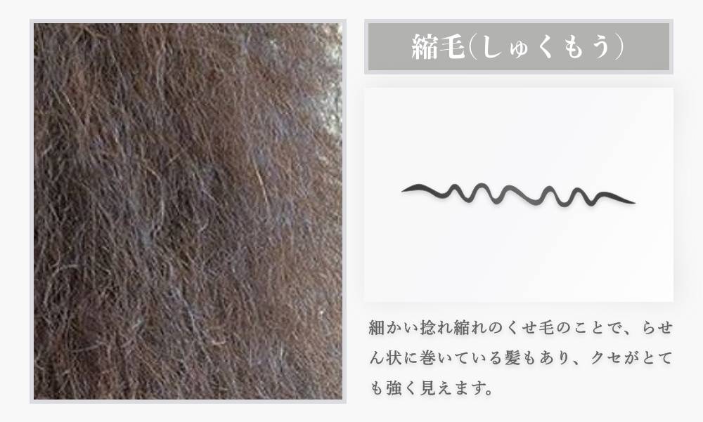 くせ毛の種類の中でも湿度に関係なく縮れている縮毛