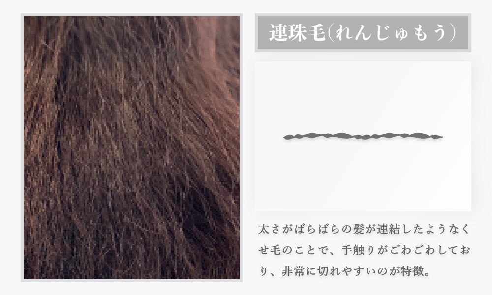 断続的にくびれがあり、切れやすい特徴を持つ種類のくせ毛、連珠毛